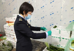 <b>守牢农产质量量平安</b>